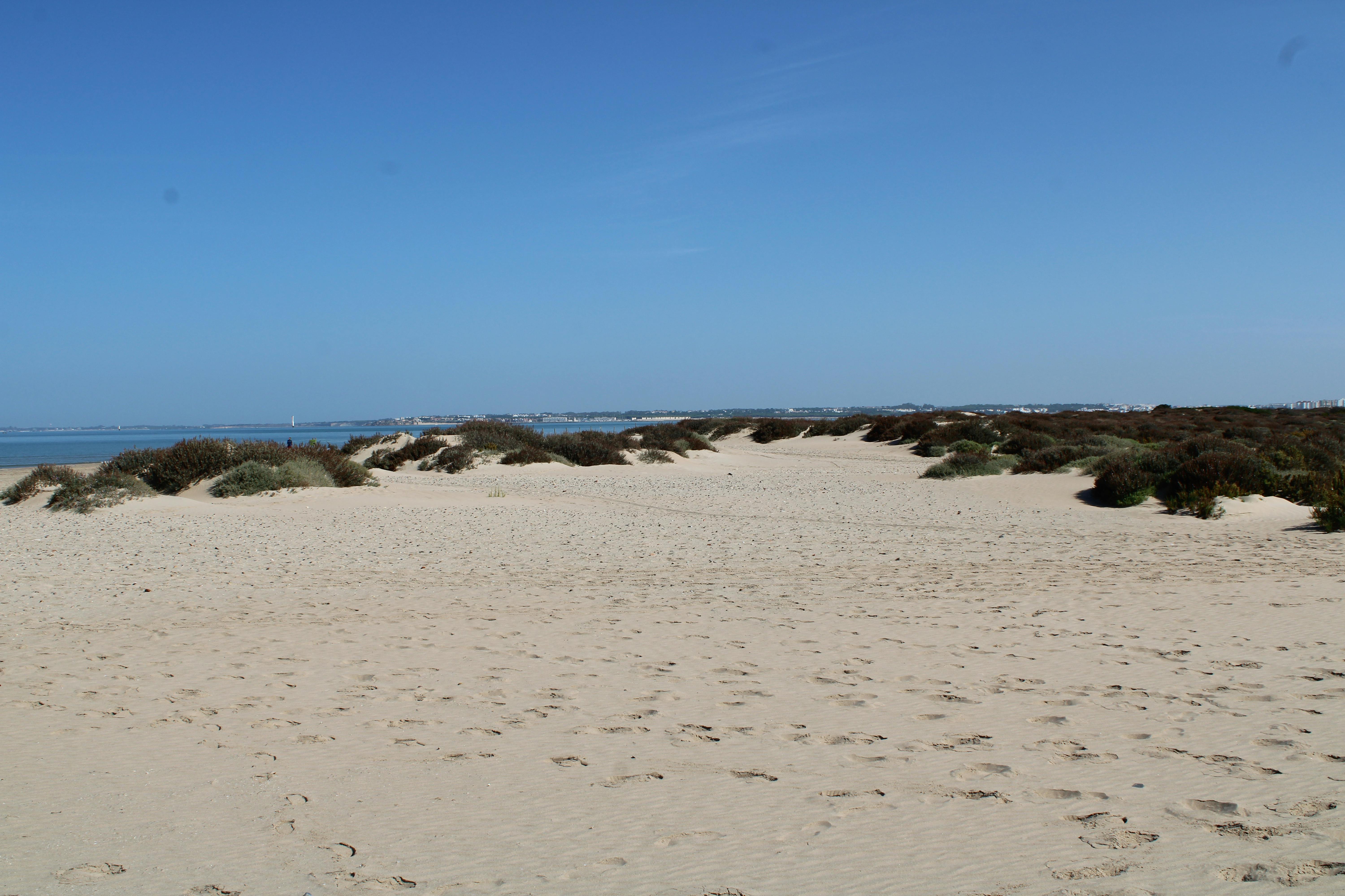 paisaje de la punta de los saboneses