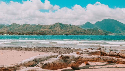 Free A stunning beach scene in Davao with driftwood and scenic mountains under white clouds. Stock Photo