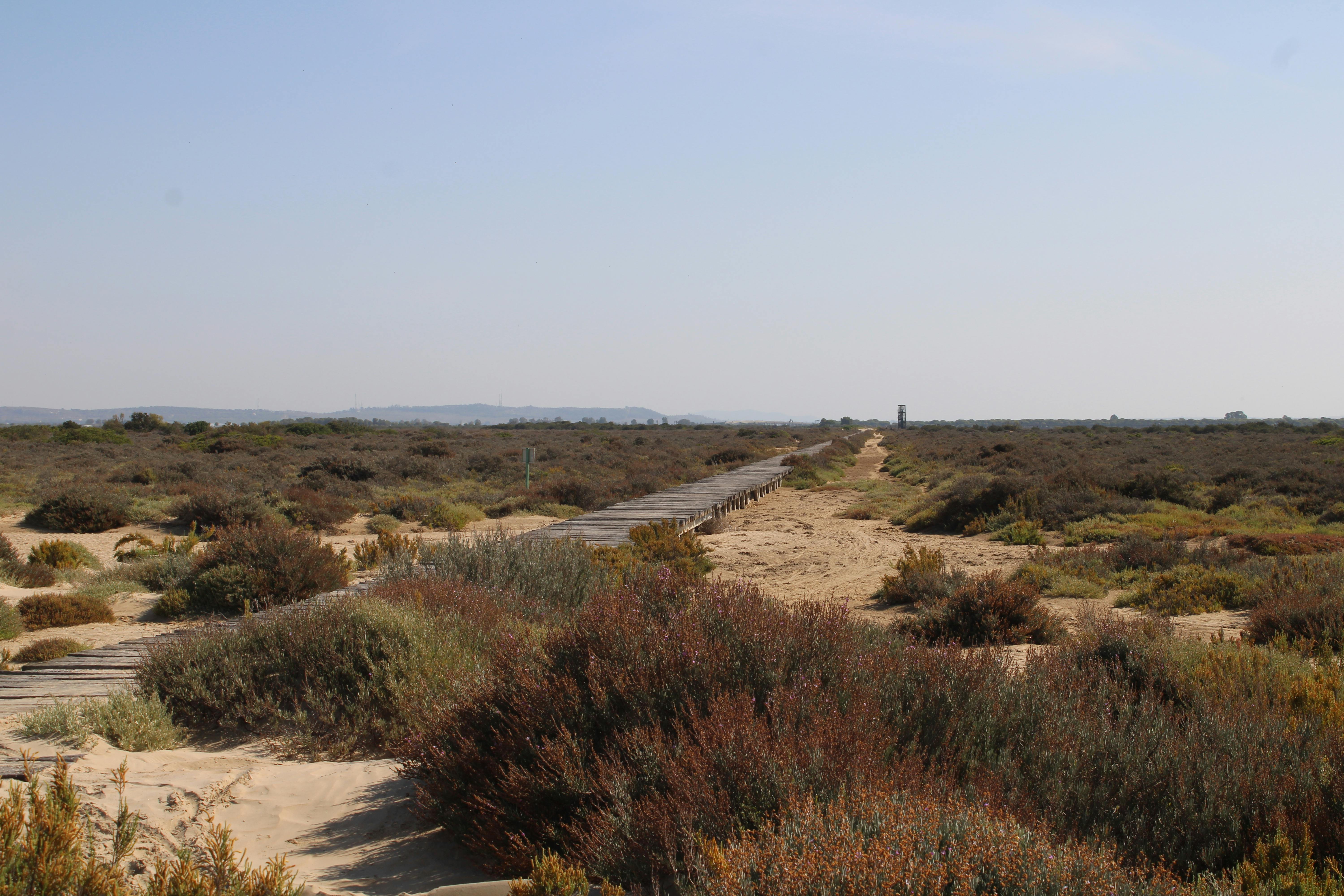 camino de vuelta hacia la torre mirador del parque