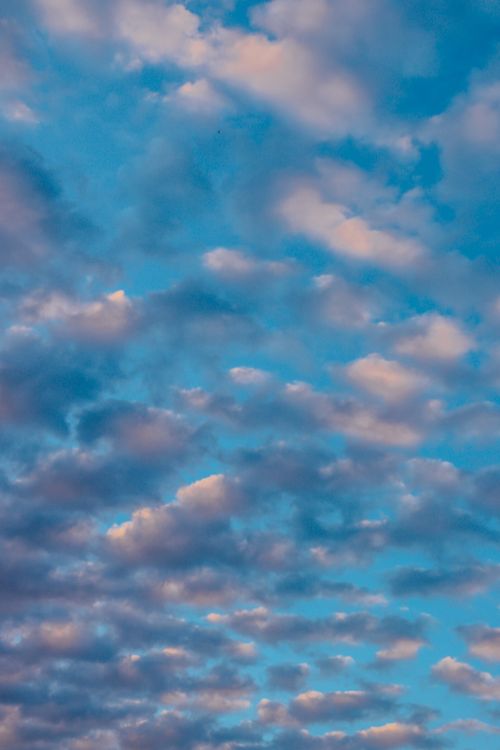 Free A tranquil twilight cloudscape featuring soft hues of blue and pink in a dramatic sky. Stock Photo