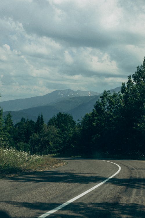 Gray Concrete Road Between Green Trees Under White Clouds