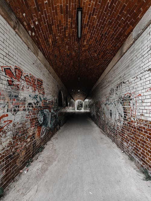 A Concrete Tunnel with Graffiti Wall Art