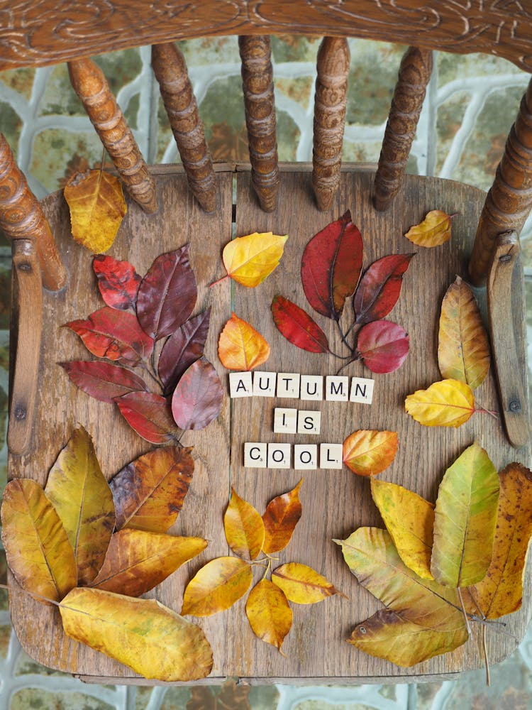 Autumn Is Cool Text Using Scrabble Tiles