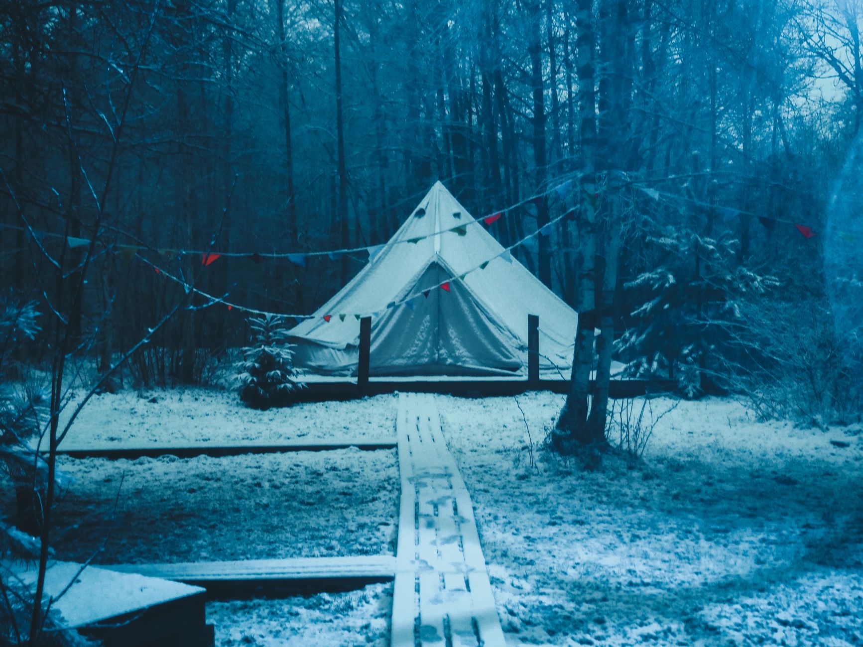 Tenda glamping mewah di tengah hutan pinus berkabut di Legok Kondang Ciwidey Tenda glamping mewah di tengah hutan pinus berkabut di Legok Kondang Ciwidey