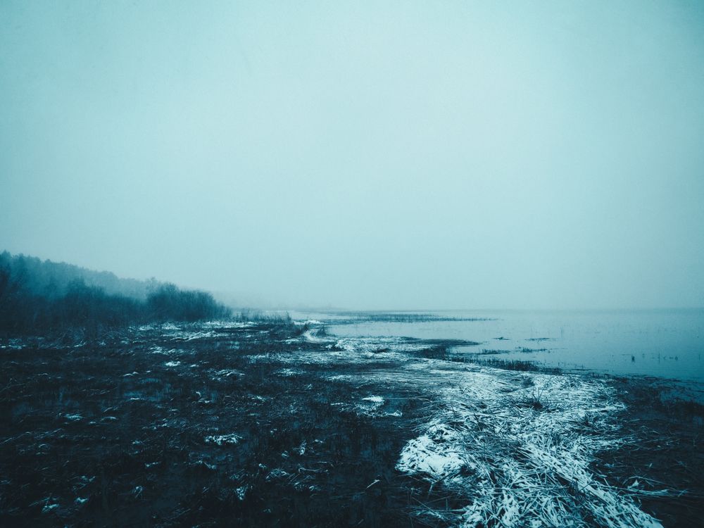 Ocean Spring Snowing White Snow Near the Ocean · Free Stock Photo