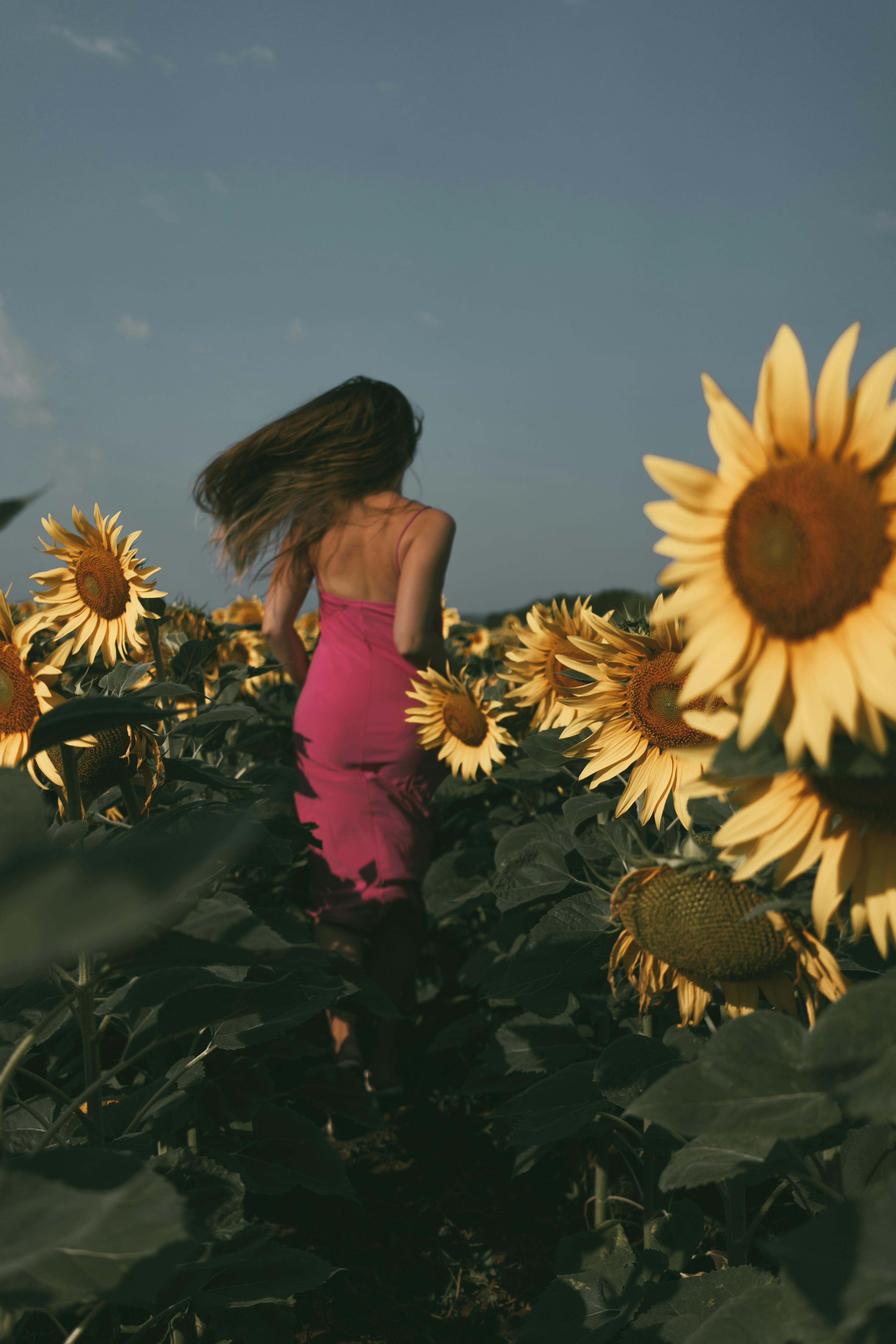 A woman in a pink dress runs through a vibrant sunflower field, capturing summer's essence.