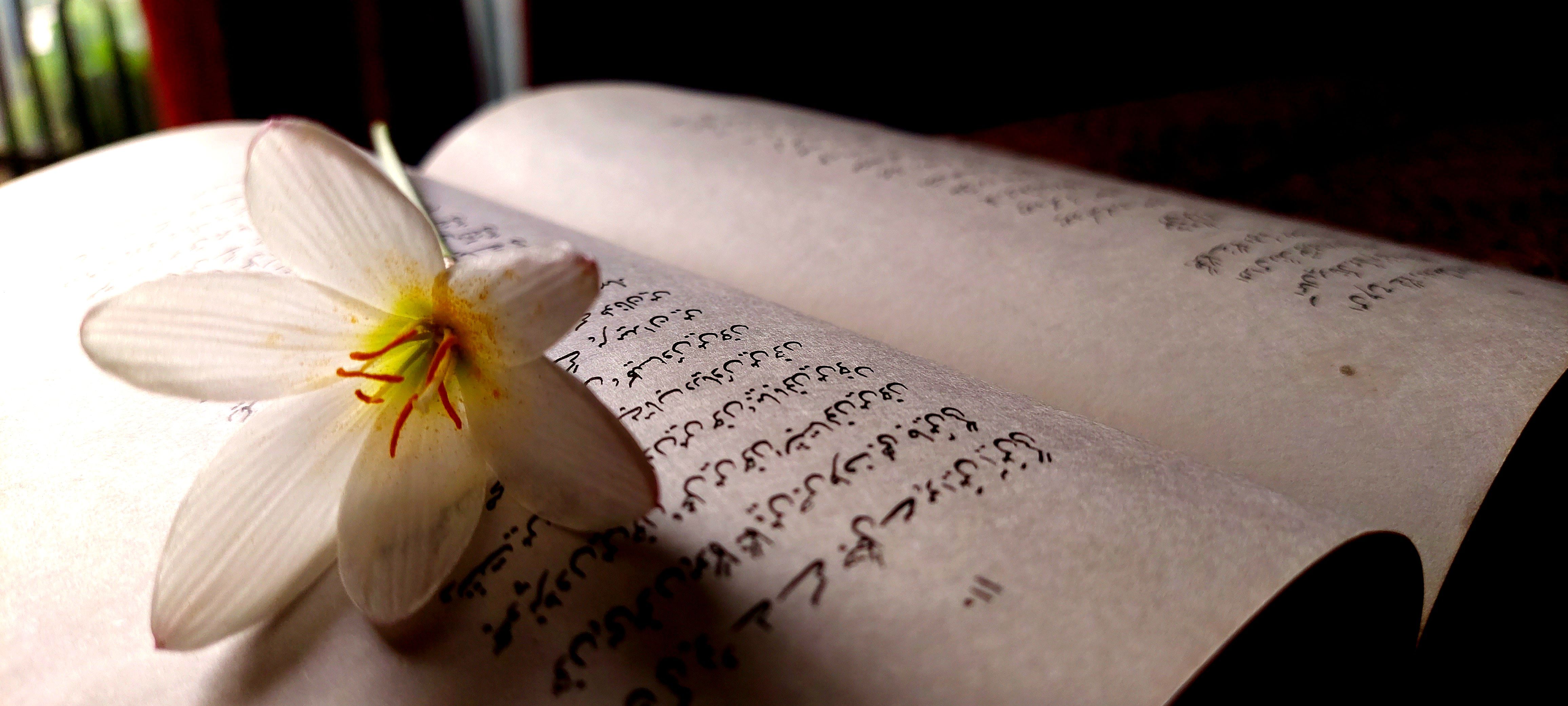 How the 12 most translated poets in history crossed continents with their poetic works