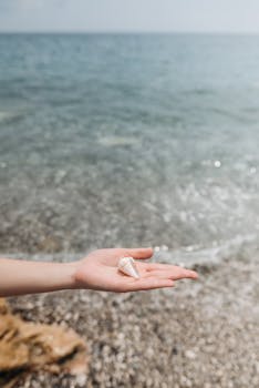 Close-up of a seashell in an open hand against a serene seaside backdrop.