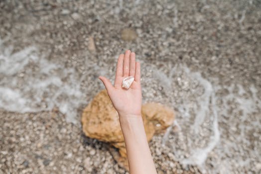 Close-up of a hand holding a seashell over a textured, pebbled beach near water.