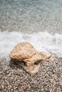 Brown Stone on Rocky Shore