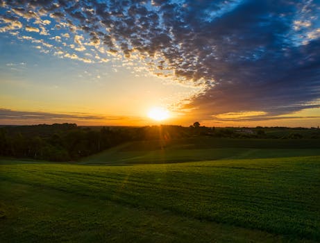 Breathtaking sunrise over the lush green fields in Alma, Wisconsin.