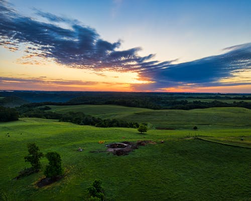 Imagine de stoc gratuită din câmp, cer albastru, fotografie cu natură