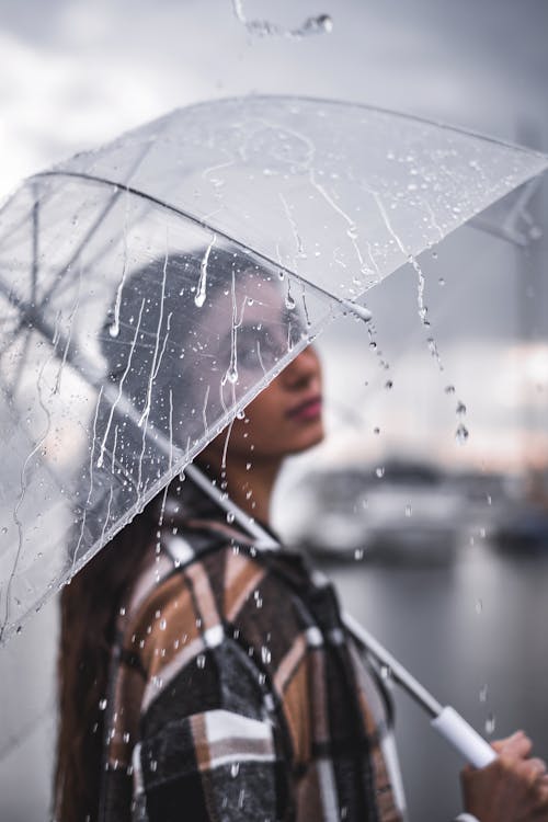 คลังภาพถ่ายฟรี ของ น้ำ, ผู้หญิง, ฝน