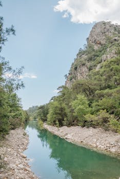 A tranquil creek flows through a lush mountain wilderness under a clear blue sky.