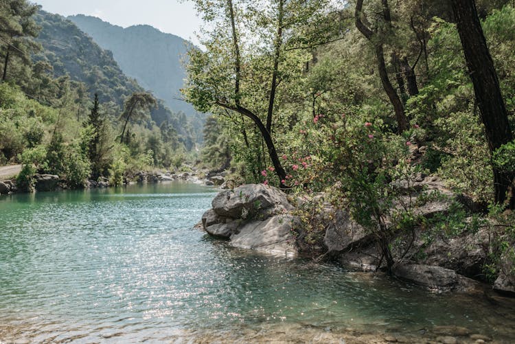 A River In The Countryside