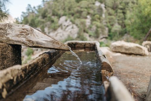 Free Rustic wooden water channel in a serene forest, offering a peaceful outdoor escape. Stock Photo