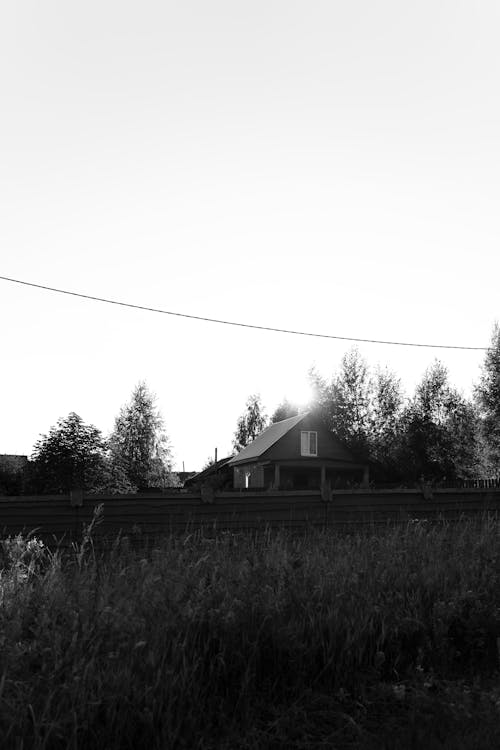 Free Grayscale Photo of a House Near the Trees Stock Photo