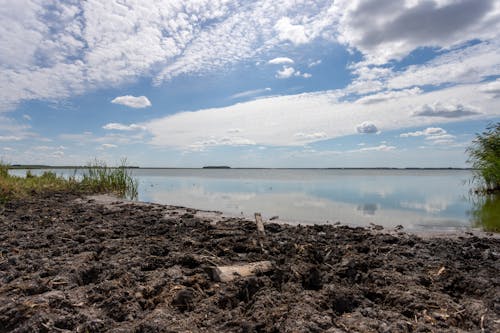 Безкоштовне стокове фото на тему «березі озера, вода, озеро»