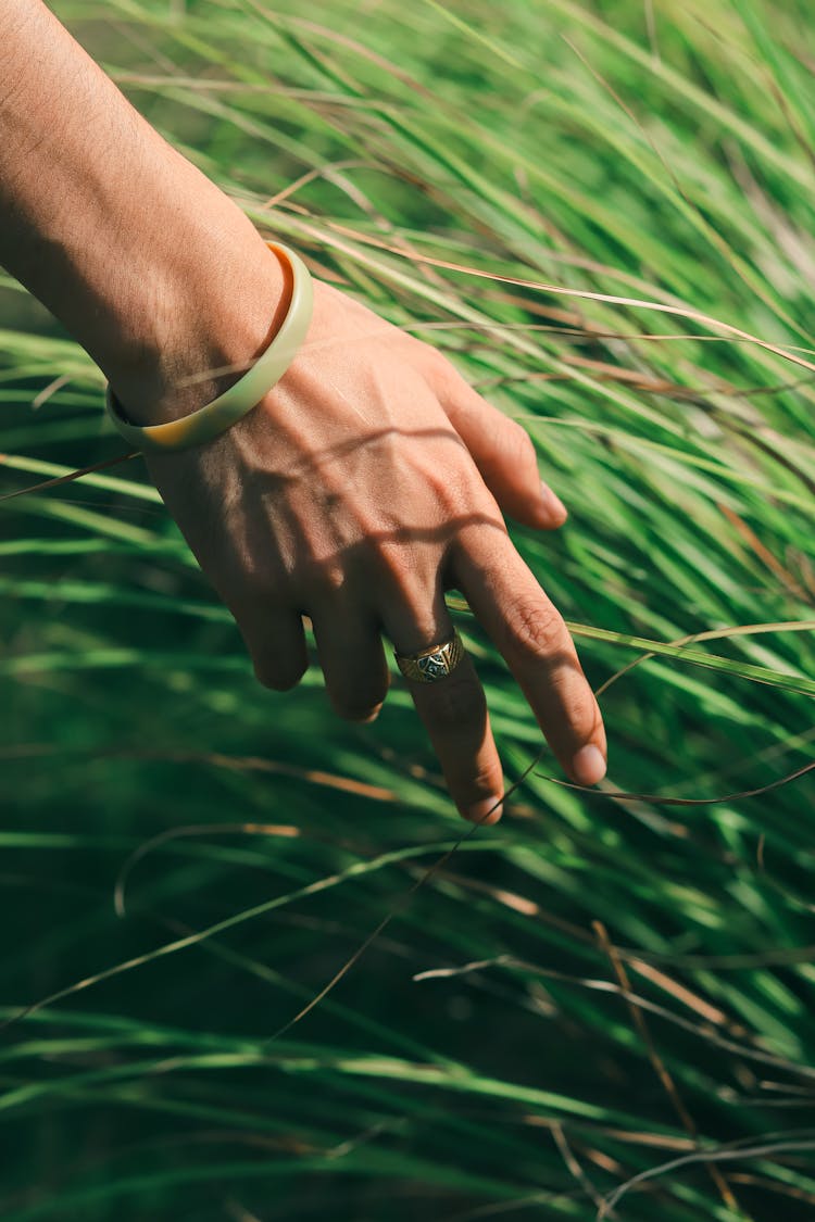 Hand Touching Grass