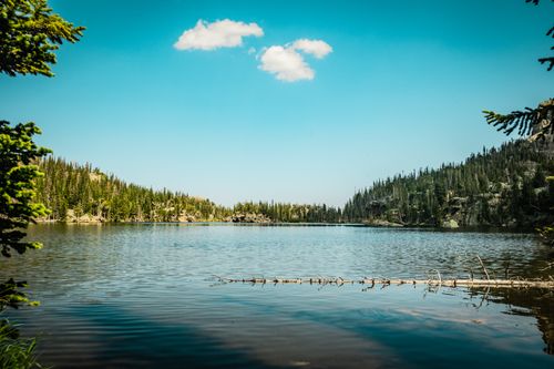 Free Peaceful mountain lake surrounded by evergreen trees under a clear blue sky, perfect for nature lovers. Stock Photo