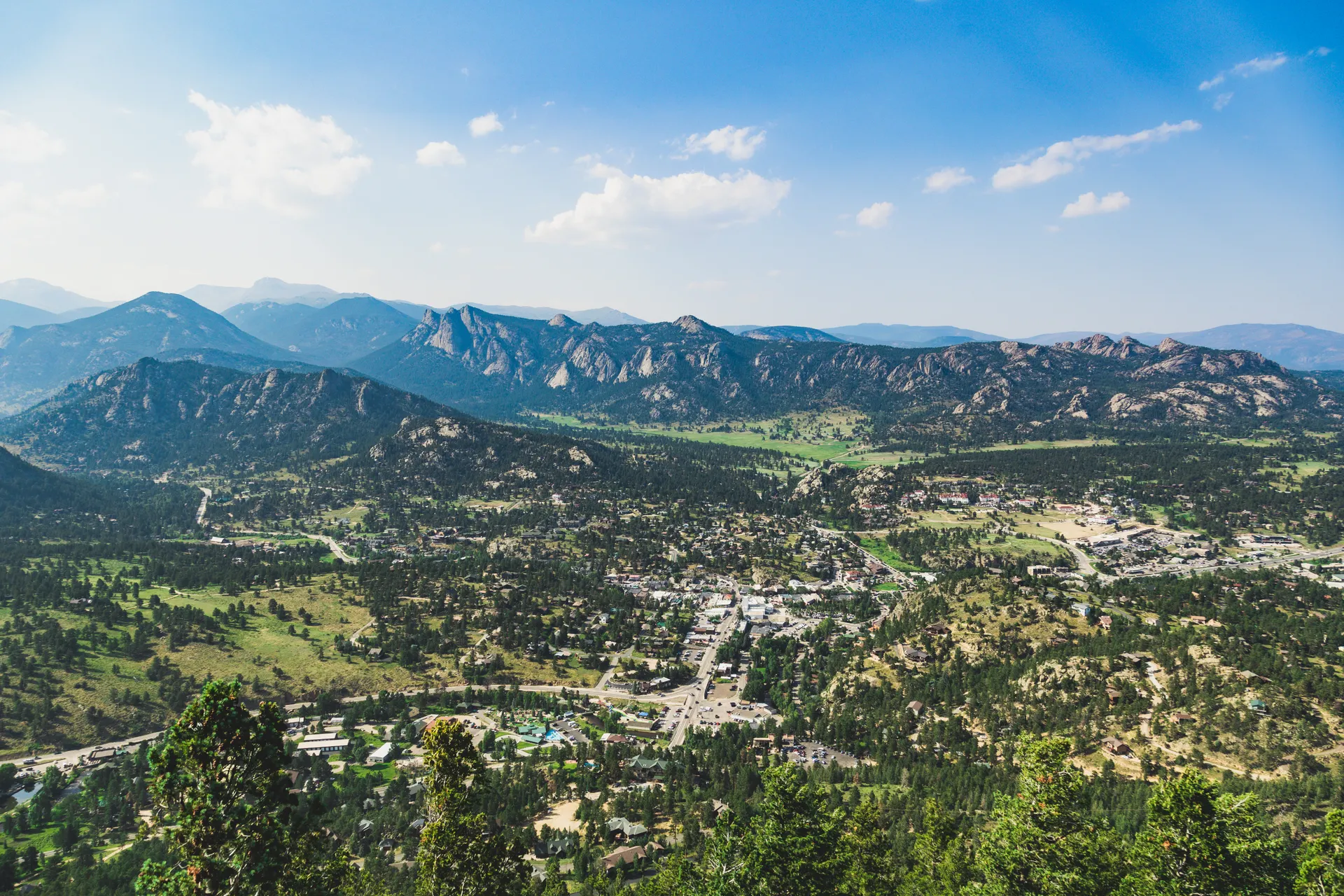 Estes Park Elk Rut: Where and When to See the Fall Bugling