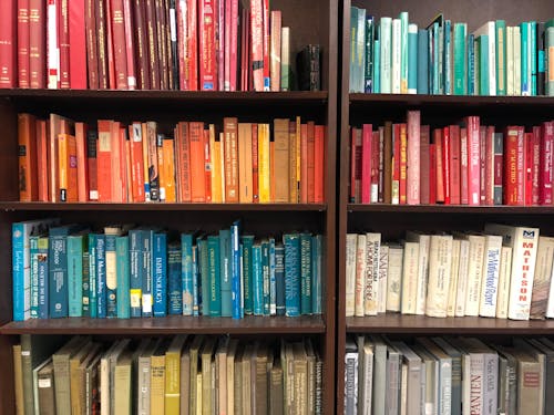 Free stock photo of blue and red, books, bookshelf Stock Photo