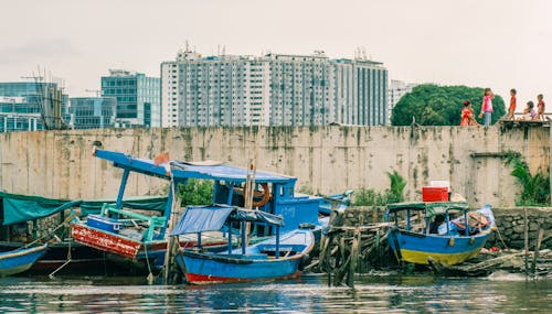 Free stock photo of apartment building, boat, human