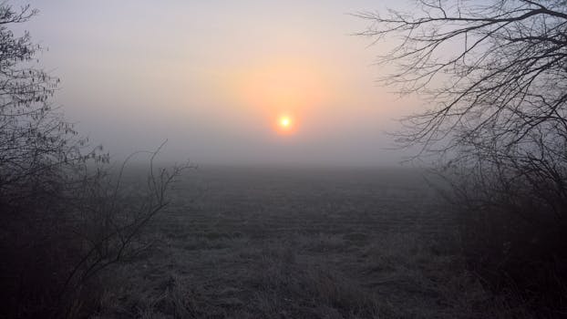 A serene misty sunrise over a meadow in Bavaria, Germany. Perfect for capturing peaceful moments.