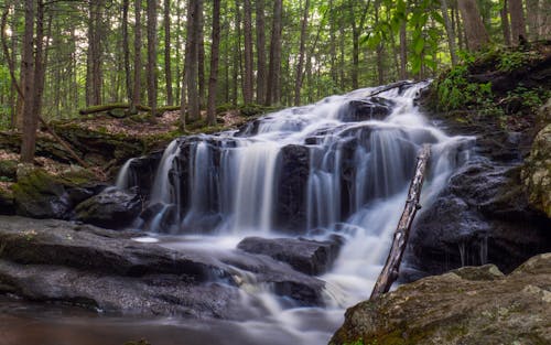 View of a Waterfall in the Forest 