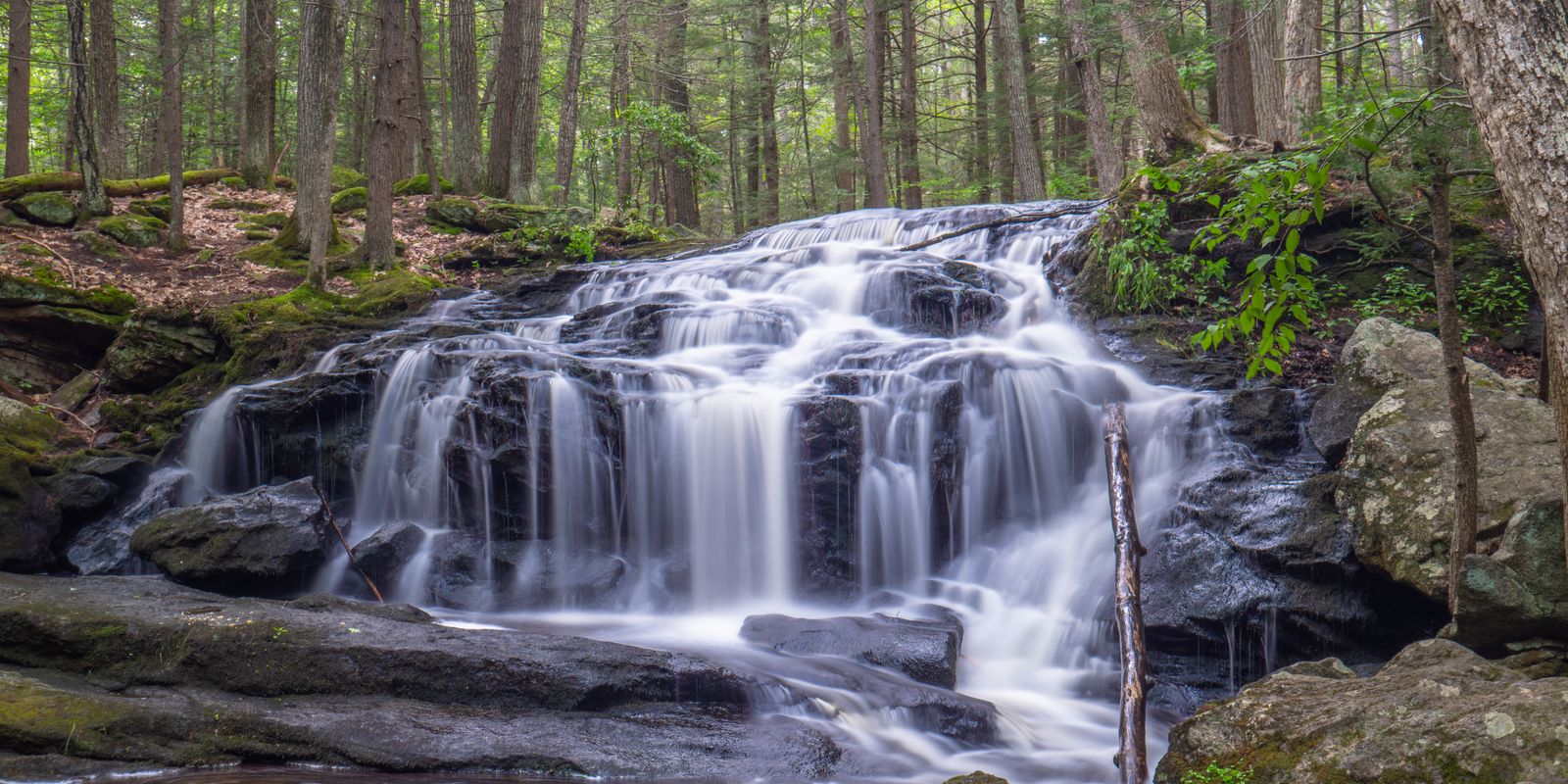 A tranquil waterfall cascading through a lush forest