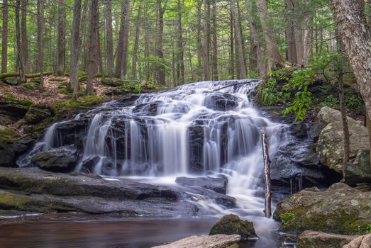 Faszinierender Wald & Wasserfall – Naturmotiv als Hintergrundbild (von Owen Casey, 10368×6943, #9068233)