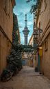 View of the Kashgar TV Tower from an Alley