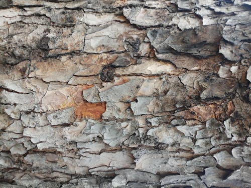 Close-Up Shot of a Stone Wall