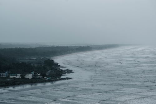 Foto profissional grátis de enevoado, escuro, ondas de praia
