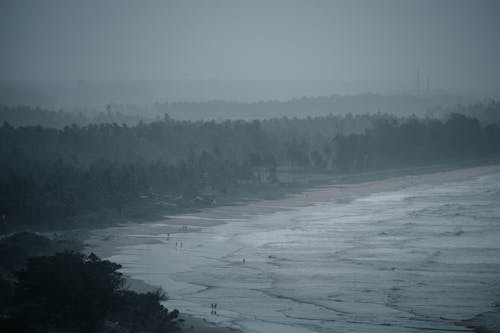 Fotos de stock gratuitas de con niebla, olas de playa, olas del mar