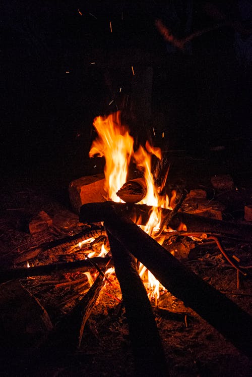 뜨거운, 불, 수직 쐈어의 무료 스톡 사진