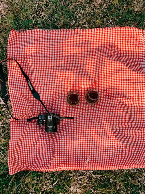 Free Black Camera and Drinking Glasses on Picnic Blanket Stock Photo