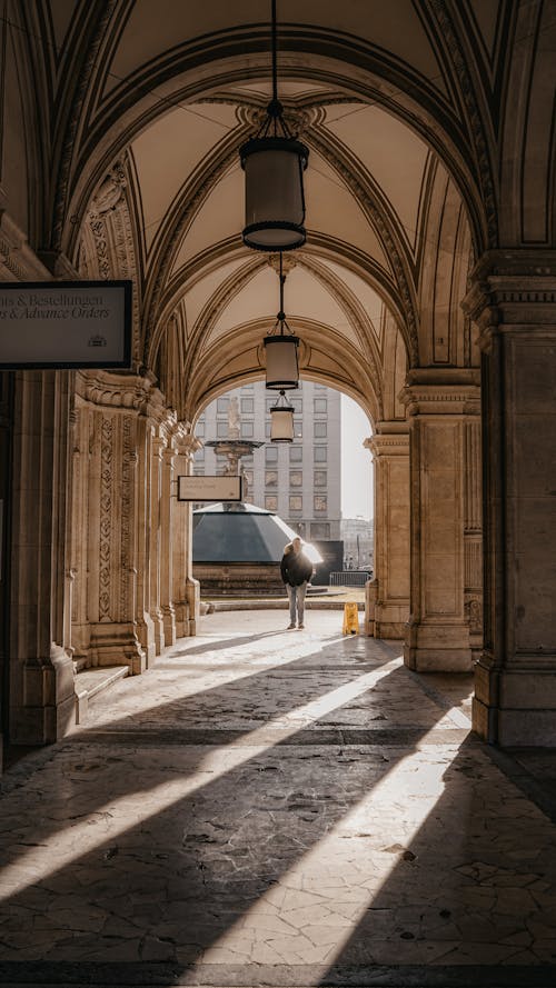 걷고 있는, 복도, 비엔나의 무료 스톡 사진