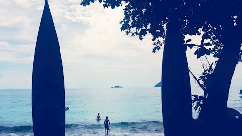 Person Standing in Front of Body of Water Near Tree