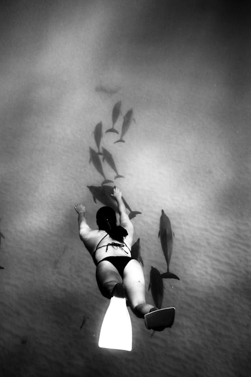 Black and White Photo of a Woman Swimming Underwater