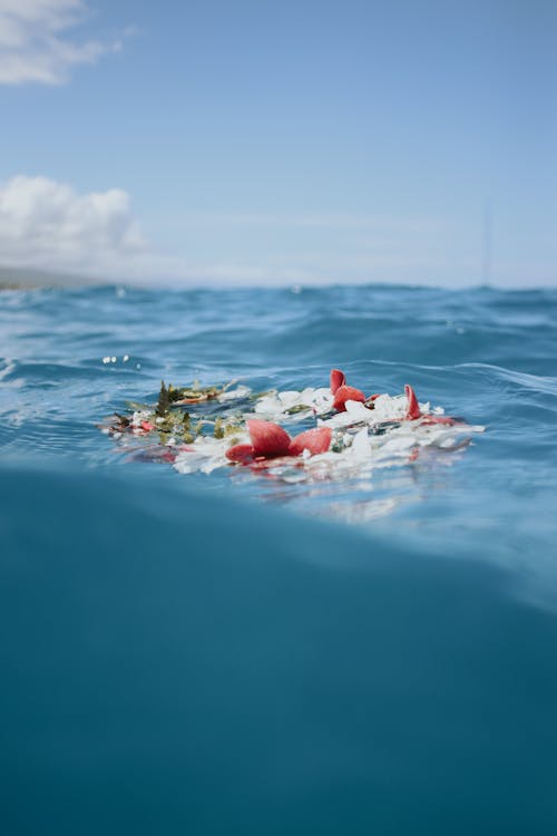 Flowers Floating in the Water