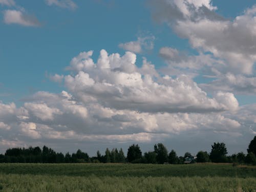 Gratis Foto stok gratis awan, bidang, fotografi alam Foto Stok