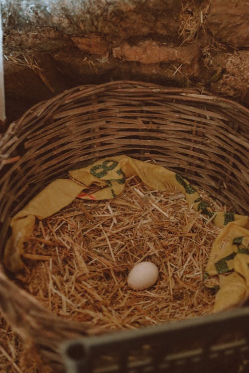 White Egg Inside a Woven Basket