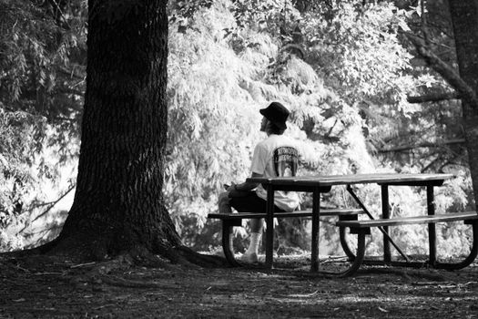 A man in a bucket hat sits on a picnic bench, immersed in nature's tranquility.