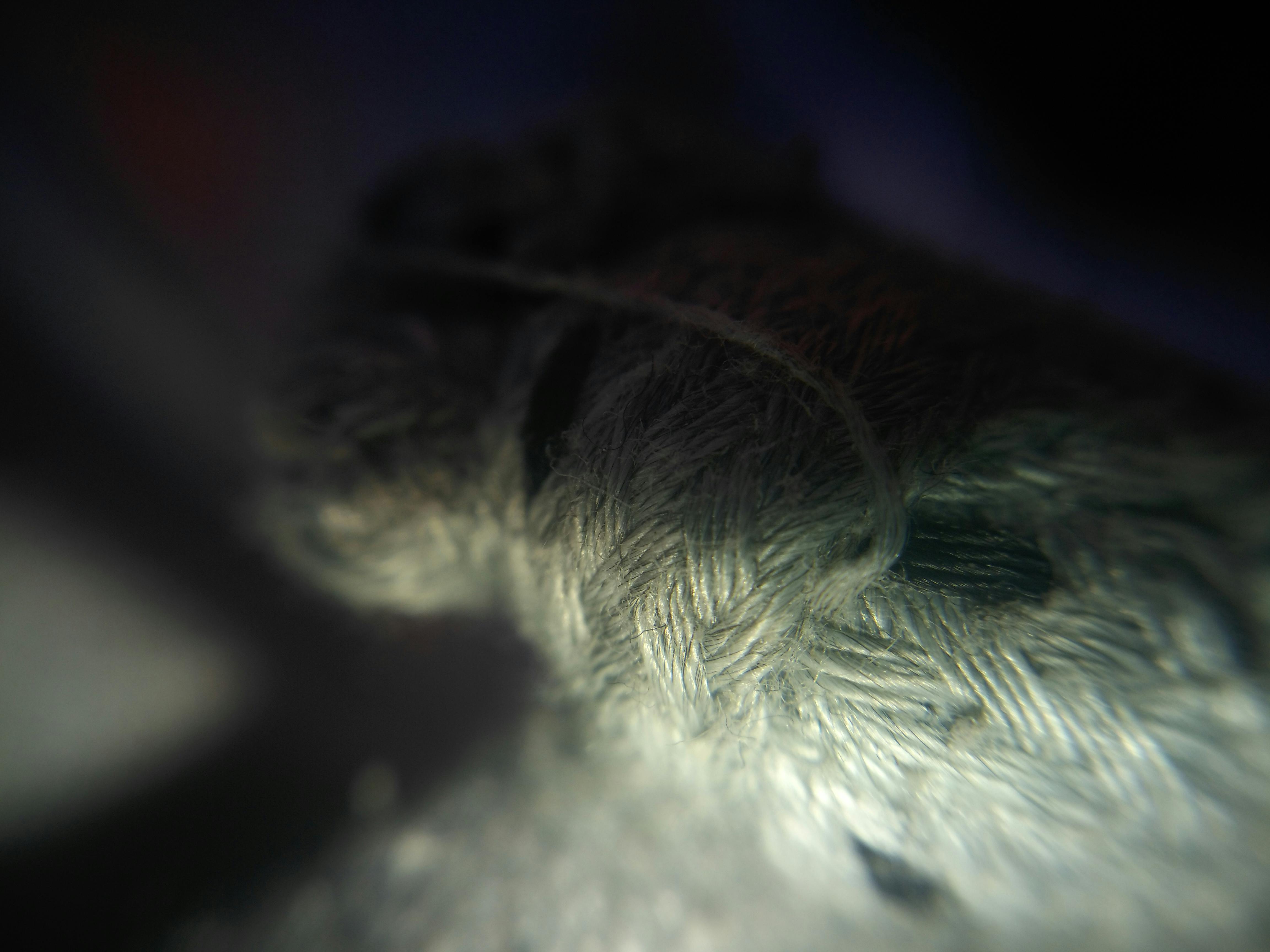 Data charts on a laptop representing statistical analysis in modern sports