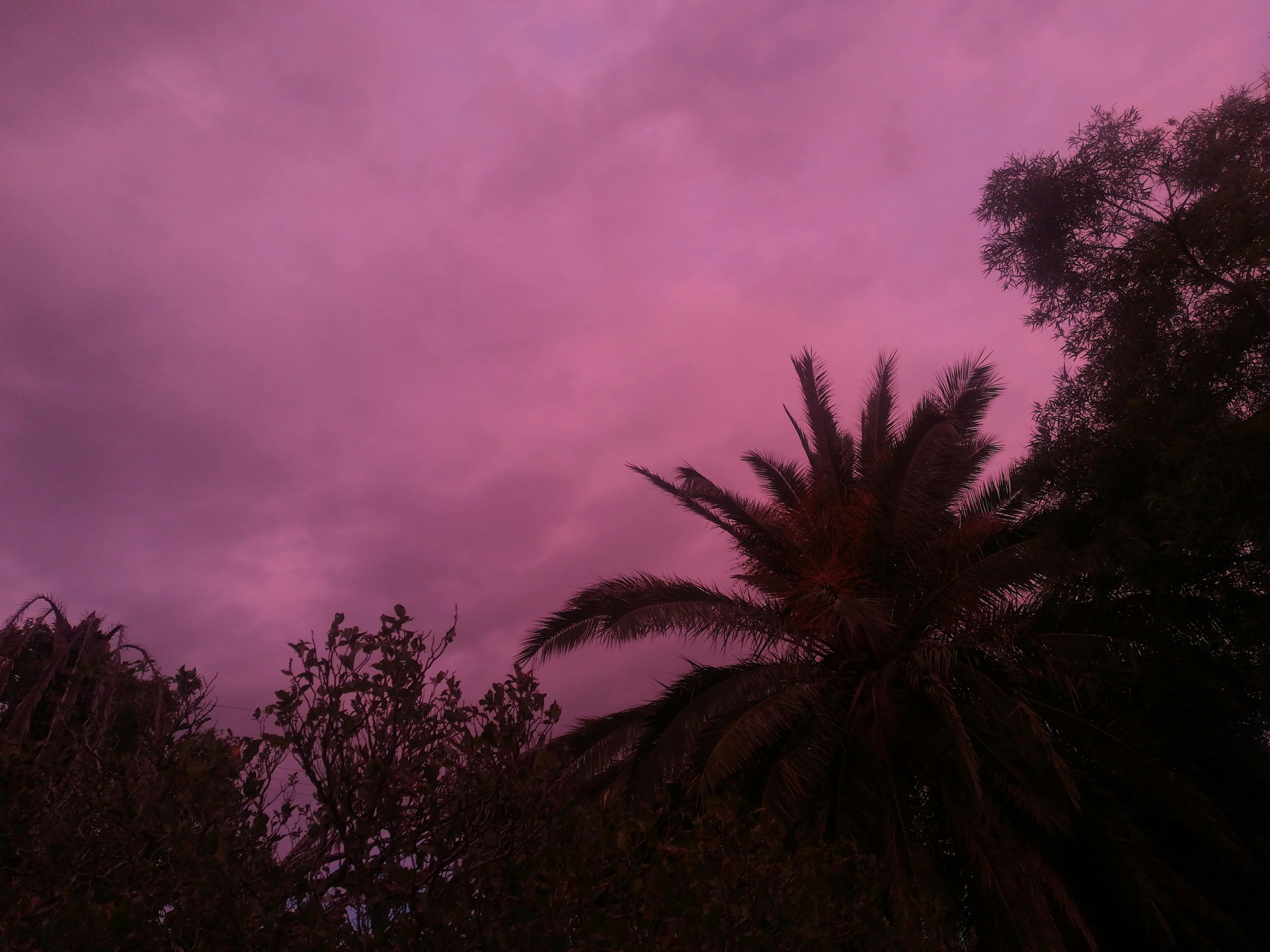 Developer-style code and design tools open on a screen