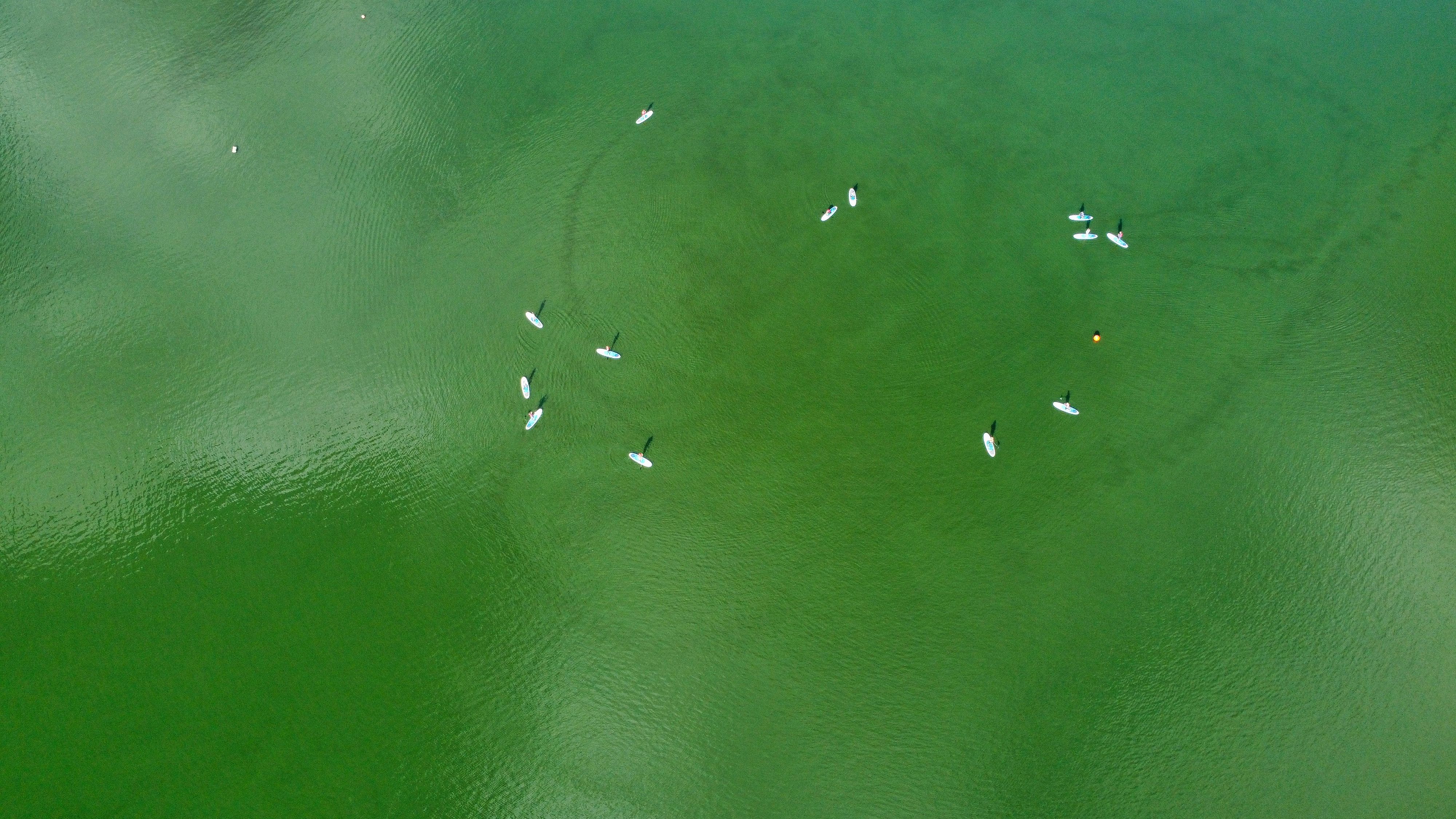 Lake Austin to drawdown for maintenance and repairs — Photo by Altaf Shah on Pexels