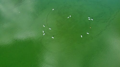 Free Aerial Shot of Green Body of Water Stock Photo