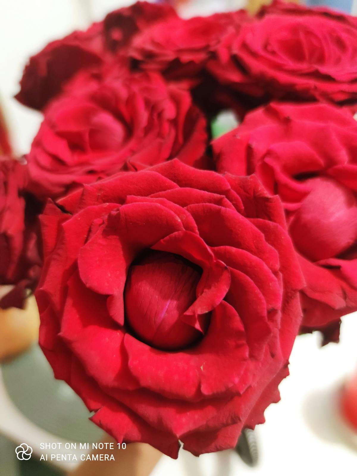 Person holding a bowl of salad and walking in a sunny park