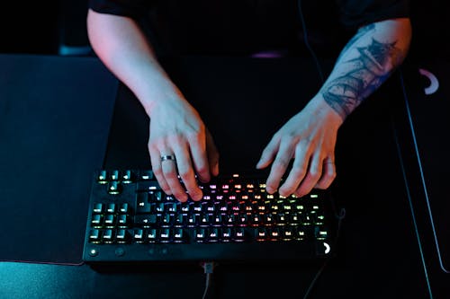 Person Using a Keyboard
